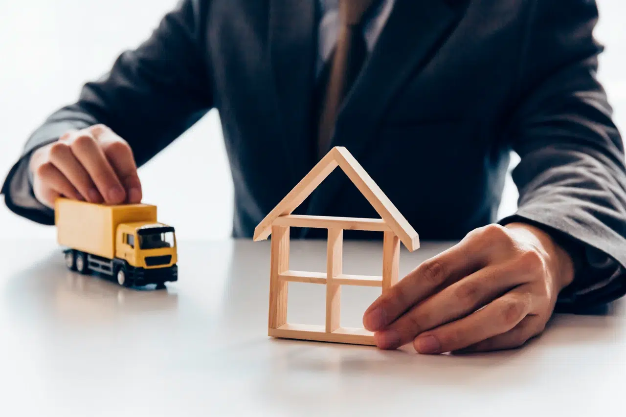 Why Parents Seek Relocation